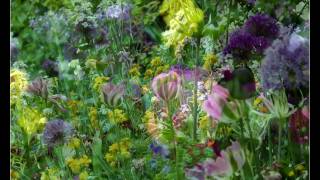 Monets Garden in Giverny France [upl. by Nida]