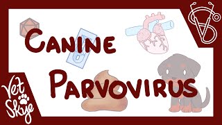 Canine Parvovirus  causes pathophysiology clinical signs diagnosis treatment prevention [upl. by Sainana]