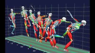 Biomechanical analysis [upl. by Nageet]