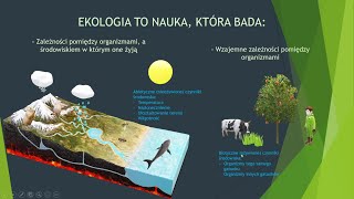 Czym zajmuje się ekologia Organizm a środowisko biologia szkoła podstawowa [upl. by Anilat]