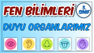 3 Sınıf Fen Bilimleri Beş Duyu Organımız Görevleri ve Sağlığı Konu Anlatımı 2 Ünite [upl. by Fleur]