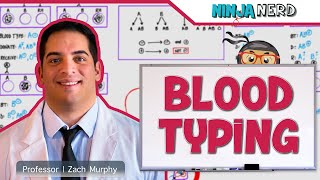 Hematology  Blood Typing [upl. by Aohsoj972]