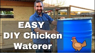 DIY So Easy Chicken Watering Barrel  No More Flowing Messy Bucket  Food Grade Chicken Waterer [upl. by Zoi431]