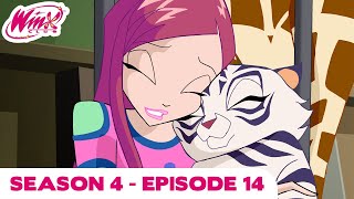 Winx Club  FULL EPISODE  The Wishing Star  Season 8 Episode 14 [upl. by Annasus733]