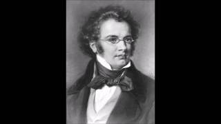 Schubert  Symphony No 8 Unfinished I Allegro moderato HQ [upl. by Erehpotsirhc]