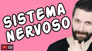 SISTEMA NERVOSO  FISIOLOGIA  Aula  Biologia com Samuel Cunha [upl. by Shaffert]