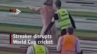 Streaker disrupts Cricket World Cup match [upl. by Atnohs921]