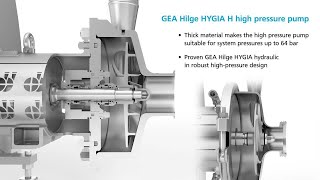 GEA Hilge HYGIA Hygienic Pump Animation [upl. by Relluf263]