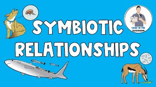 Symbiotic Relationships [upl. by Rosette]