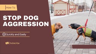 How to stop Dog Aggression quickly And easily  In a few steps [upl. by Nivle]