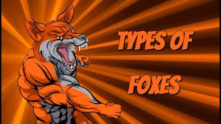 Types of Foxes [upl. by Xila]