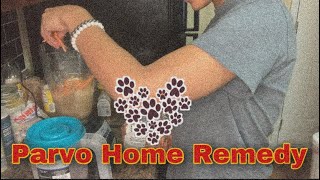 Treating Parvo in Dogs  Parvovirus All Natural Home Remedy  Lana Yazmeen [upl. by Hsirahc]