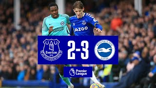 EVERTON 23 BRIGHTON  PREMIER LEAGUE HIGHLIGHTS [upl. by Harragan]