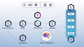 How the Nexus Platform Works [upl. by Seraphina]