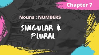 Noun  Numbers Singular and Plural  Chapter 7  Wren and Martin  Examples  Exercise [upl. by Manson]