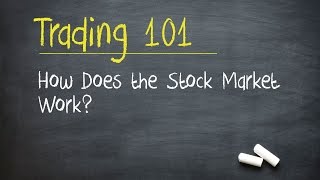 Trading 101 How Does the Stock Market Work [upl. by Repsaj]