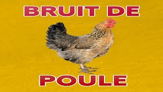 bruit de POULE 🐔 claquettementgloussement [upl. by Nasaj]