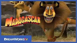 MADAGASCAR ESCAPE 2 AFRICA  Official Trailer [upl. by Yelram]