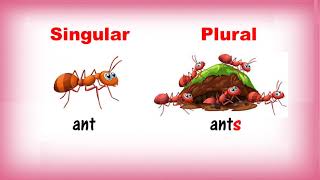 Singular and Plural Nouns  Class 1  CBSE [upl. by Yenffad]