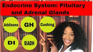 Endocrine System Adrenal and Pituitary Glands [upl. by Oleta]