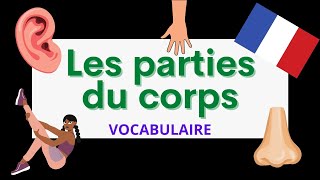 Les parties du corps  Parts of the body  French vocabulary [upl. by Nilloc]