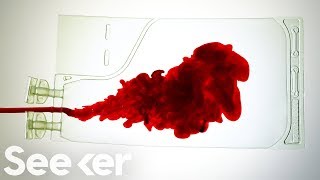 What Really Happens to Your Blood After You Donate [upl. by Ieluuk]