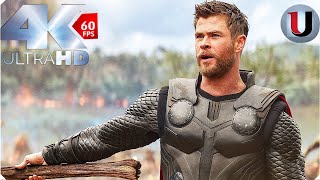 Thor Arrives In Wakanda Scene  Avengers Infinity War  MOVIE CLIP 4K [upl. by Childers]